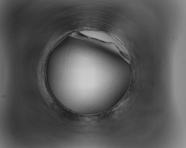 X0000089360241200706291047