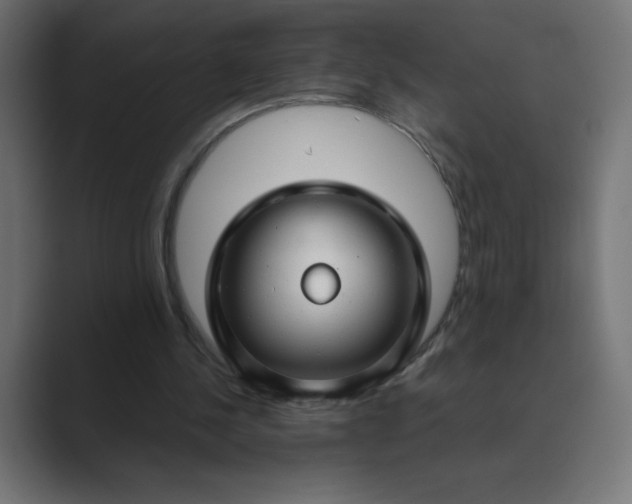 X0000089360244200706291047