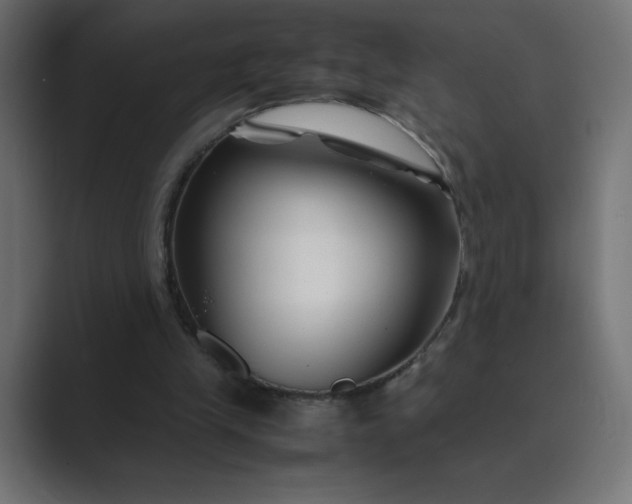 X0000089360245200706291047