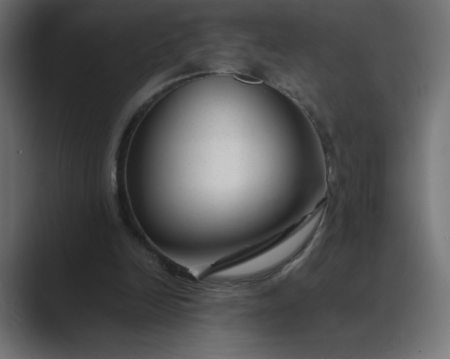 X0000089360246200706291047