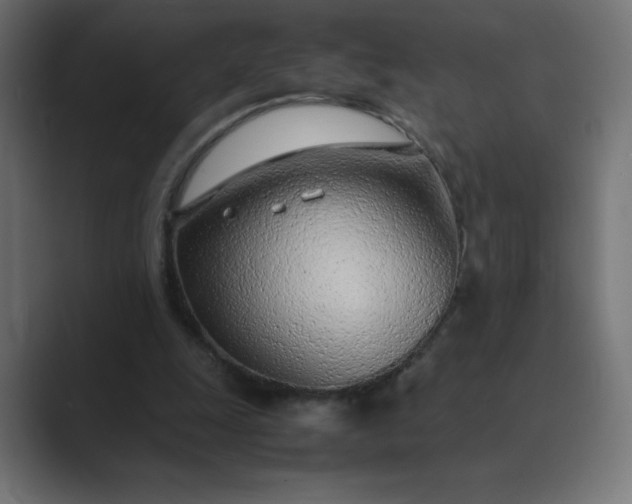 X0000089360247200706291047