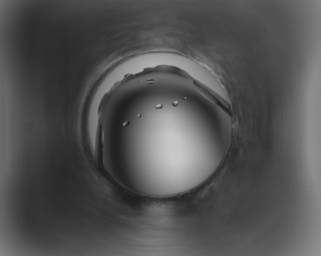 X0000089360248200706291047