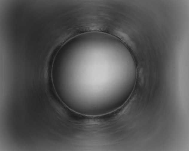 X0000089360250200706291047