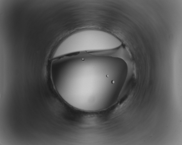 X0000089360252200706291047