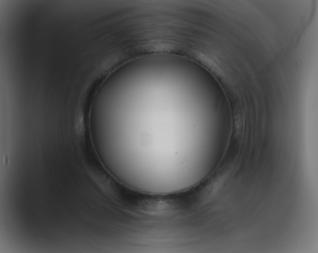 X0000089360254200706291047