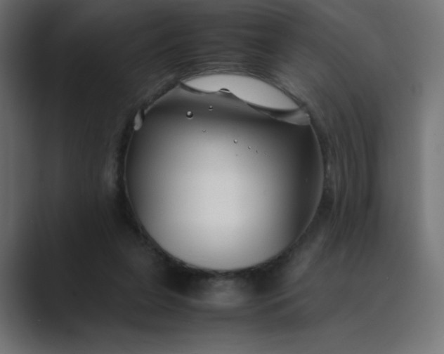 X0000089360255200706291047