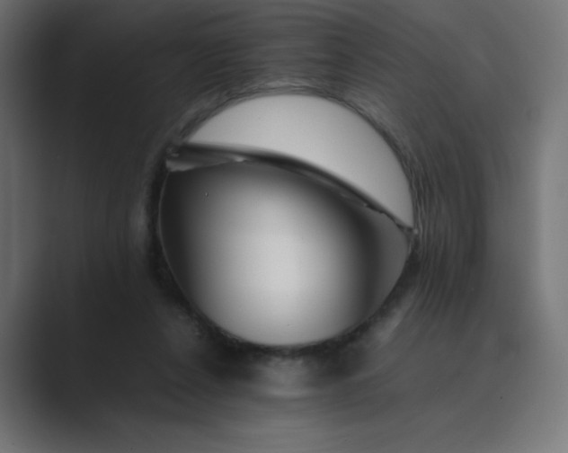 X0000089360256200706291047