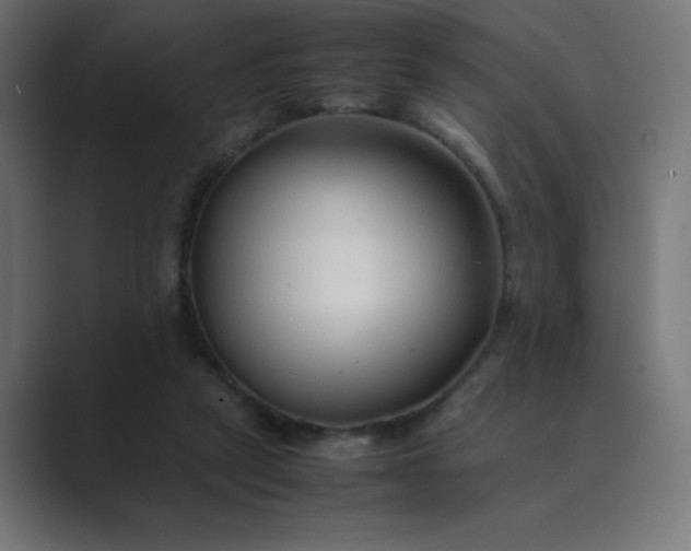 X0000089360257200706291047