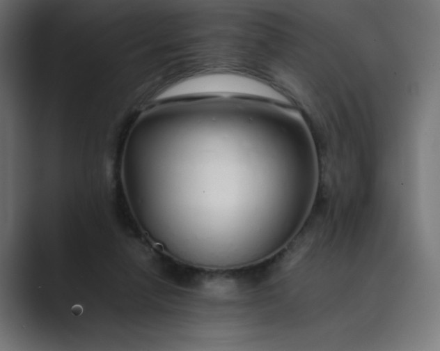 X0000089360258200706291047