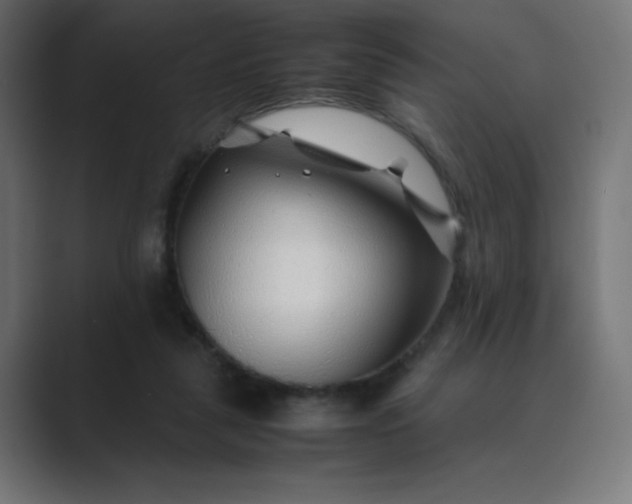 X0000089360259200706291047