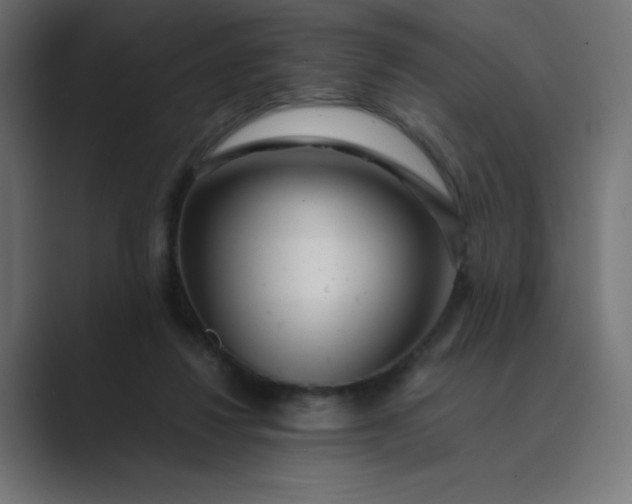 X0000089360260200706291047