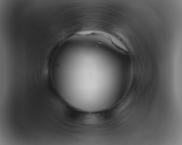 X0000089360261200706291047