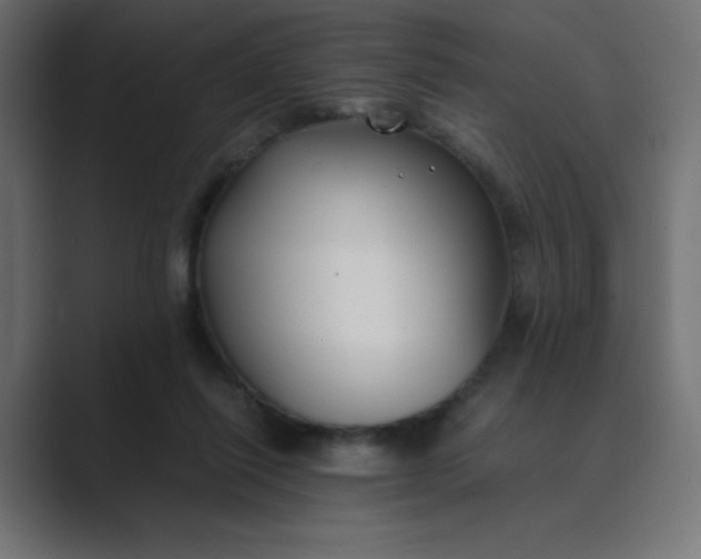 X0000089360262200706291047