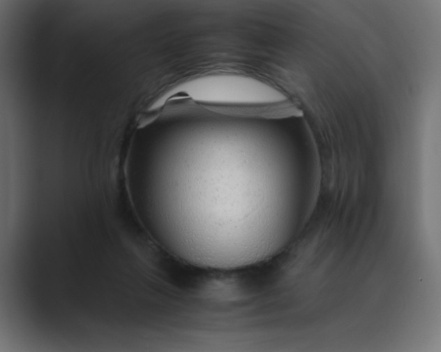 X0000089360263200706291047