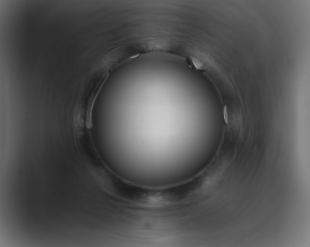 X0000089360264200706291047