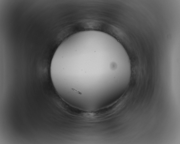 X0000089360265200706291047