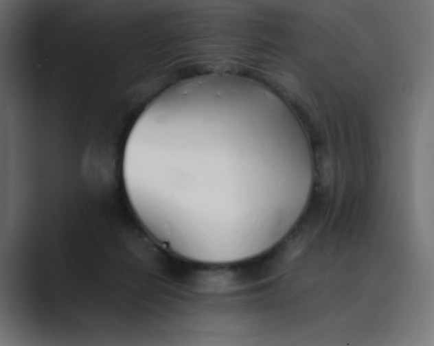 X0000089360266200706291047