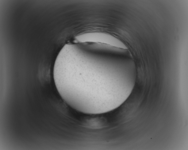 X0000089360267200706291047