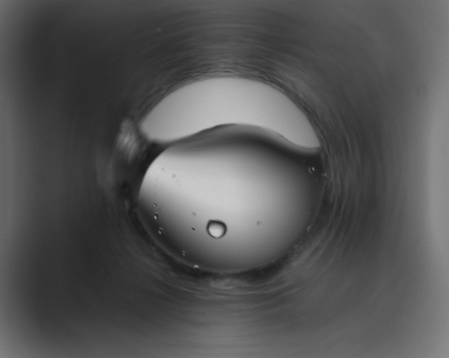 X0000089360268200706291047