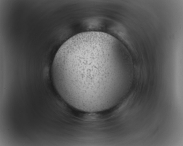 X0000089360269200706291047