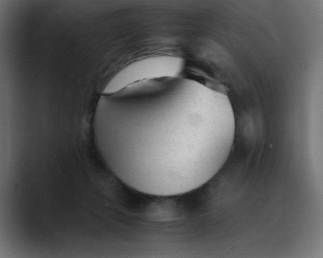 X0000089360271200706291047