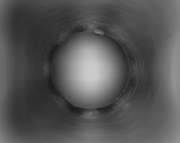 X0000089360274200706291047