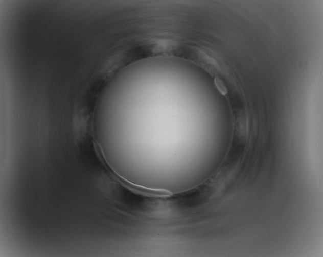 X0000089360276200706291047