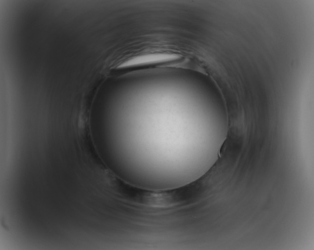 X0000089360277200706291047