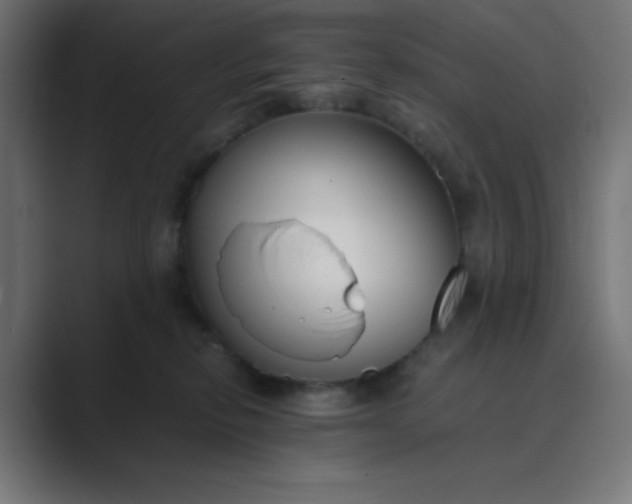 X0000089360278200706291047