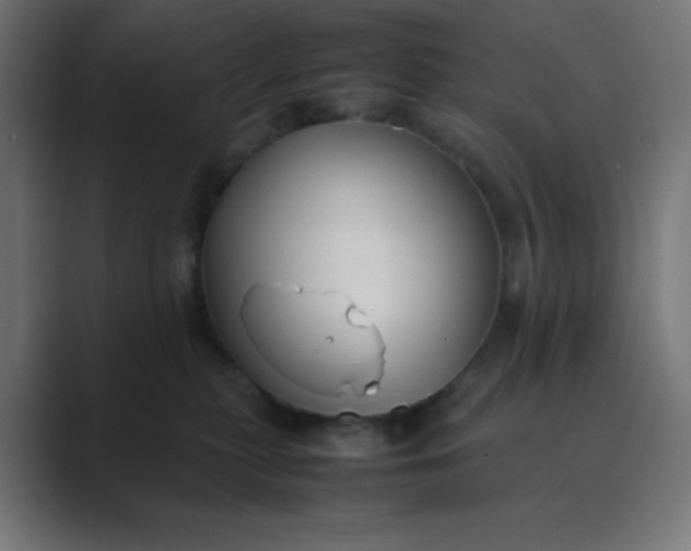 X0000089360279200706291047