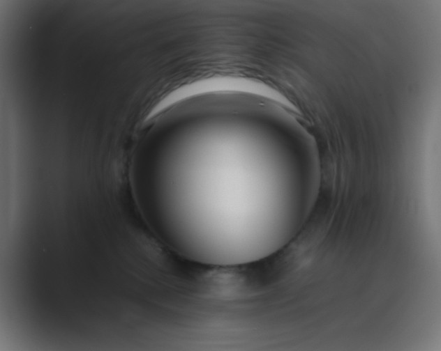 X0000089360280200706291047