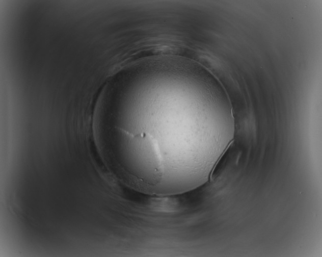 X0000089360281200706291047