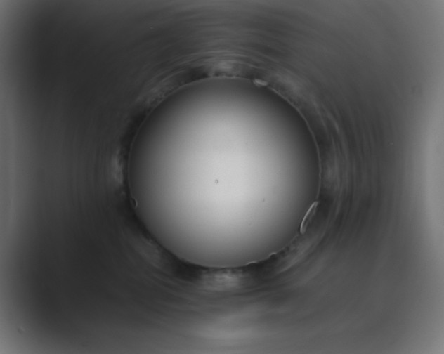 X0000089360282200706291047