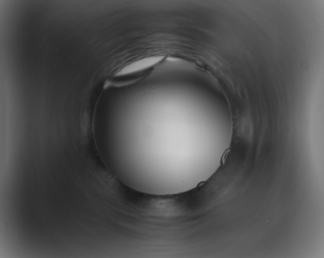 X0000089360283200706291047