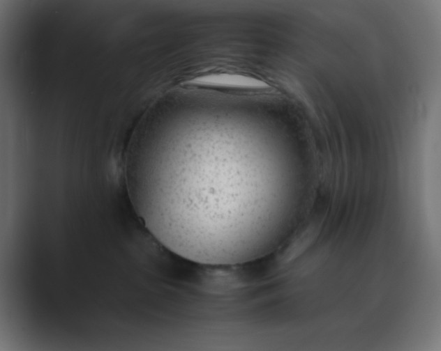 X0000089360285200706291047