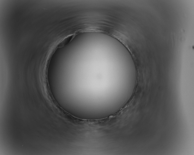 X0000089360289200706291047