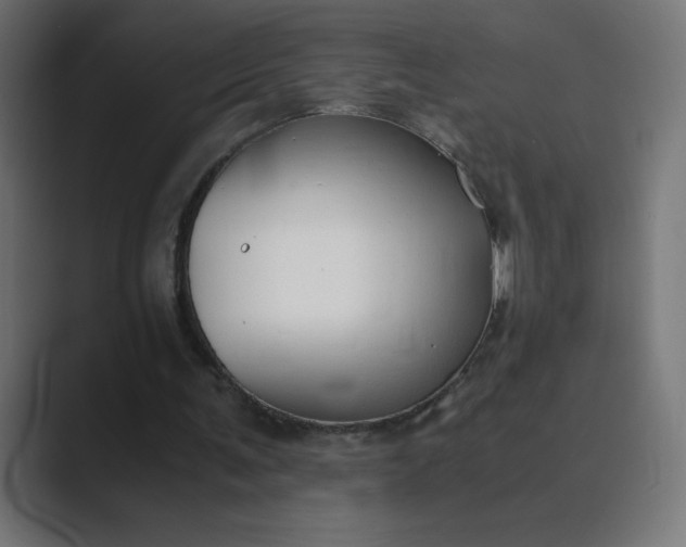 X0000089360291200706291047