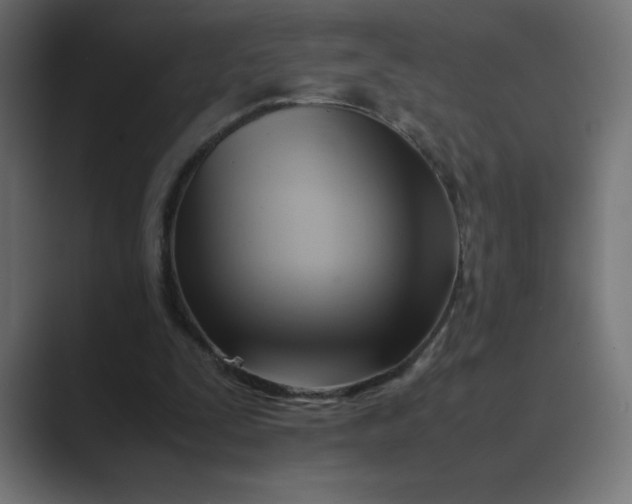 X0000089360295200706291047