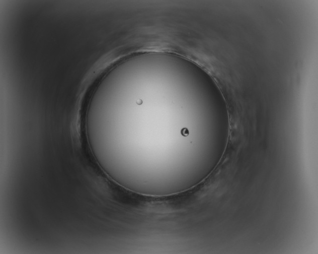 X0000089360296200706291047