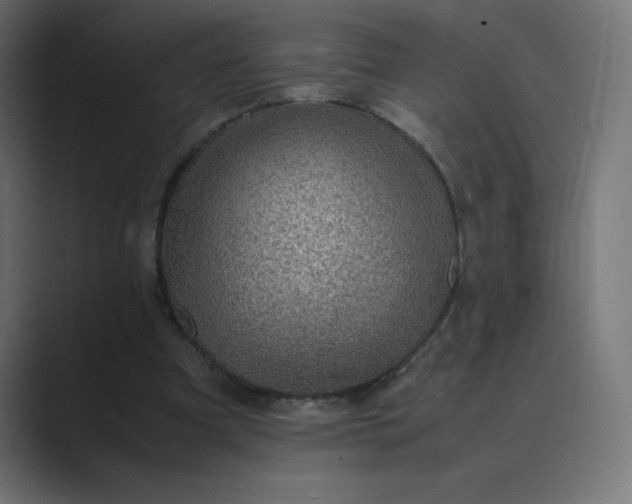 X0000089360297200706291047