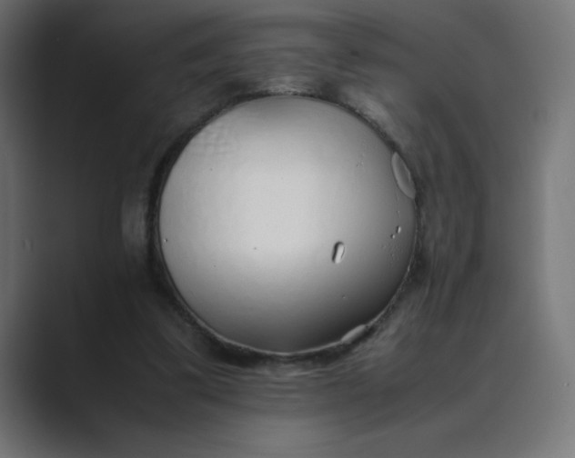 X0000089360299200706291047