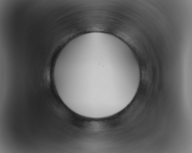 X0000089360302200706291047