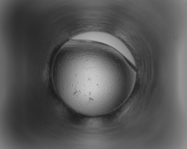 X0000089360303200706291047