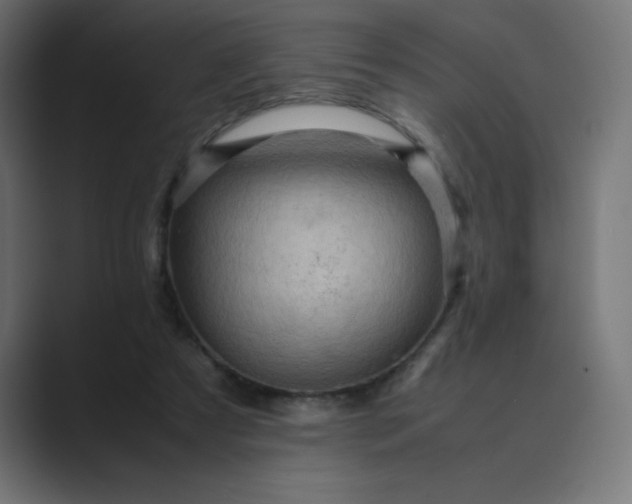 X0000089360305200706291047