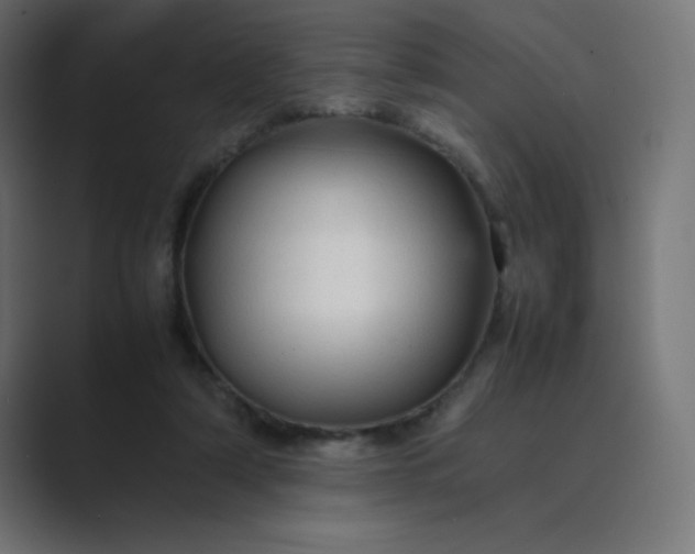 X0000089360306200706291047