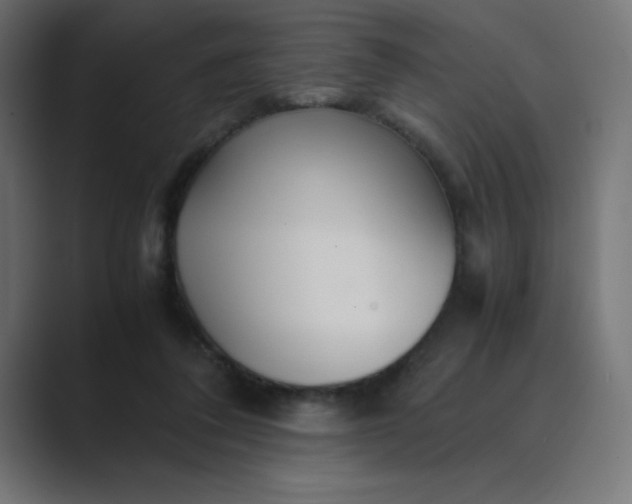 X0000089360308200706291047