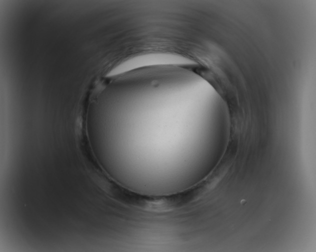 X0000089360309200706291047