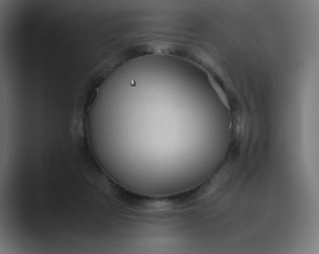 X0000089360313200706291047