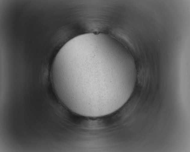 X0000089360314200706291046