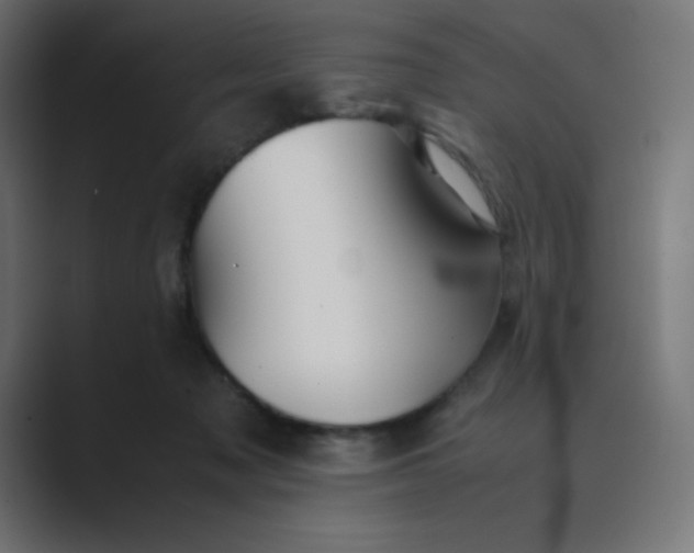 X0000089360317200706291046